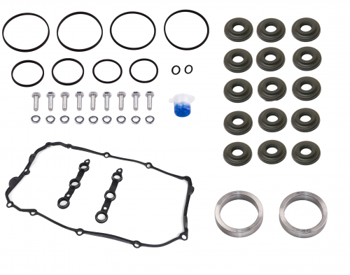 BMW Double Vanos Seals Repair Kit with complete gaskets and rattle rings